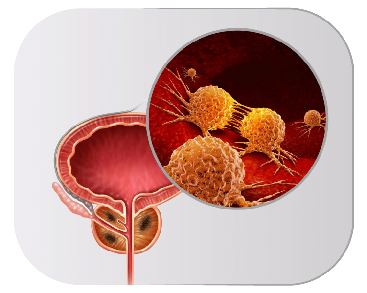 Cirurgia minimamente invasiva na Asa Sul | Dr. Gilvan Furtado